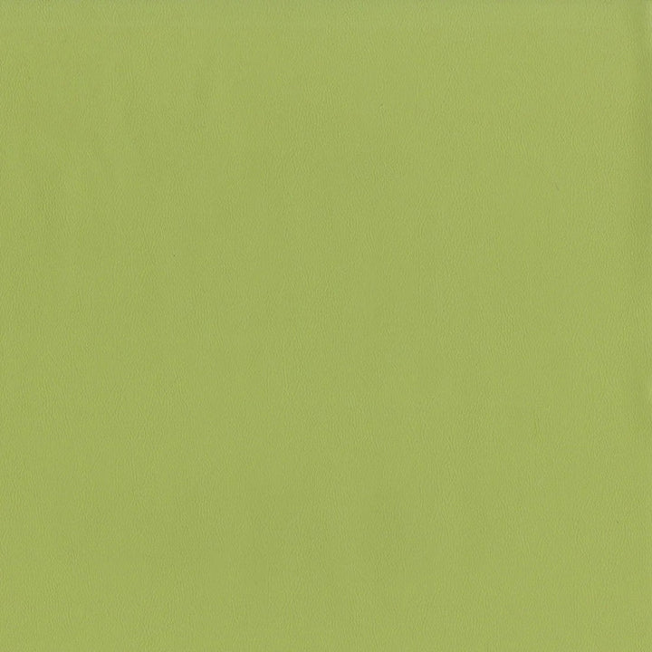 F2899 Meadow by Greenhouse Designer Fabric 100% Vinyl, Backing: 100% Polyester China 1,500,000 </p><p>Repeat: None 54" - Swanky Fabrics -
