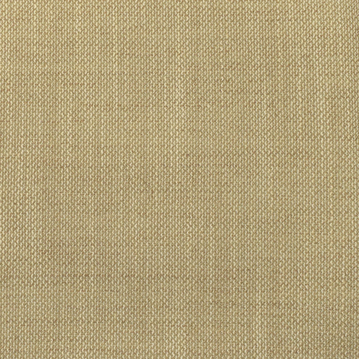 F2933 Vanilla by Greenhouse Fabric 100% Polyester China 63,000 double rubs </p><p>Repeat: None 56" - Fabric Carolina -