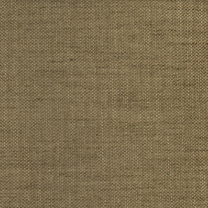 F2938 Fossil by Greenhouse Fabric 100% Polyester China 63,000 double rubs </p><p>Repeat: None 56" - Fabric Carolina -
