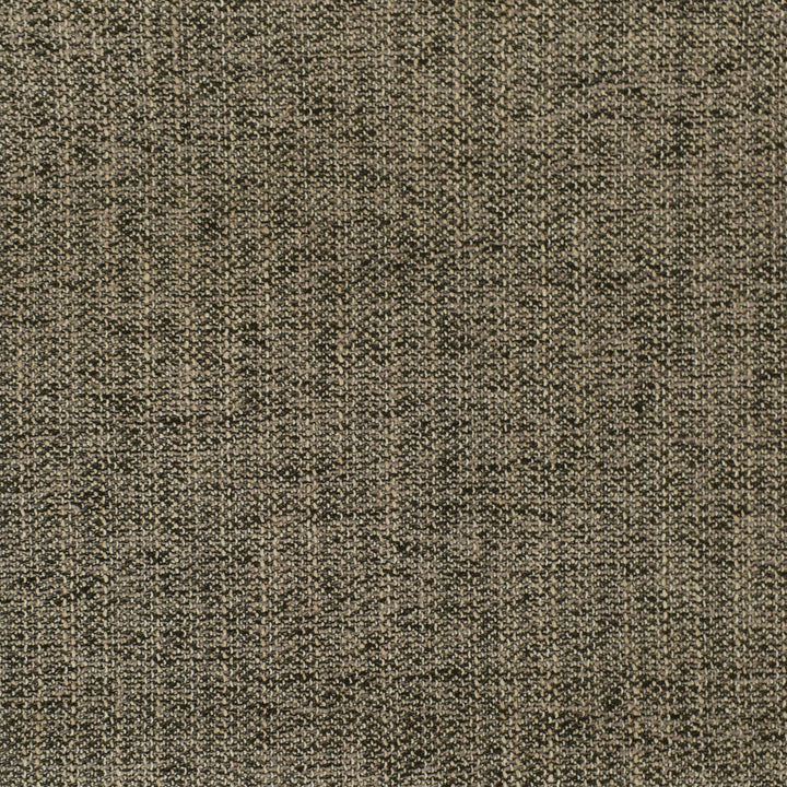 F2950 Coal by Greenhouse Fabric E79: Value Textures Neutral 100% Polyester China 63,000 double rubs </p><p>Repeat: None 56" - Fabric Carolina -