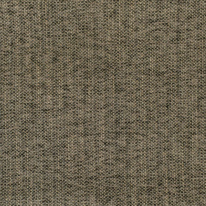 F2950 Coal by Greenhouse Fabric