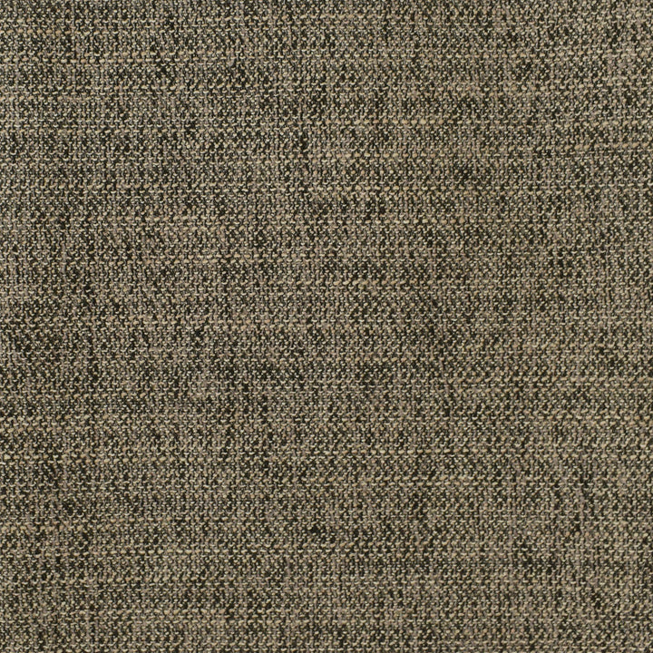F2950 Coal by Greenhouse Designer Fabric E79: Value Textures Neutral 100% Polyester China 63,000 double rubs </p><p>Repeat: None 56" - Swanky Fabrics -