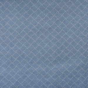 F2972 Marine by Greenhouse Fabric