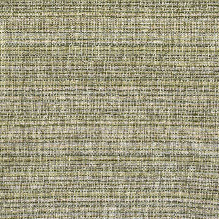 F2999 Elm by Greenhouse Fabric 100% Polyester China 30,000 double rubs </p><p>Repeat: 7" H 57" - Fabric Carolina -