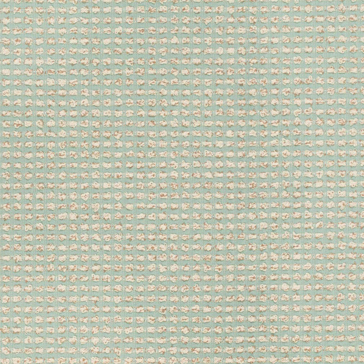 F300-216 by Charlotte Designer Fabric Tranquil 69% Polyester, 31% Cotton USA Exceeds 200,000 Wyzenbeek Rubs (Heavy Duty) No Repeat 54 Inches - Swanky Fabrics -