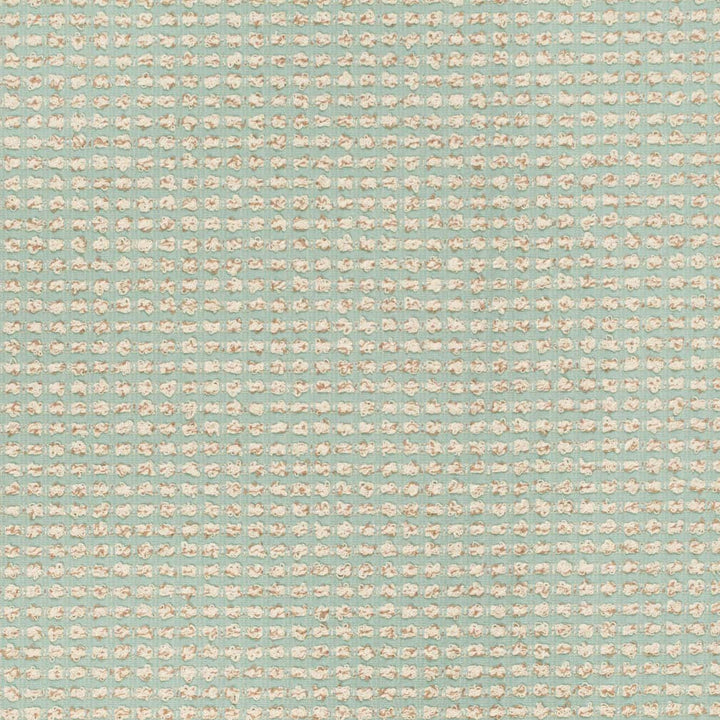 F300-216 by Charlotte Fabric Tranquil 69% Polyester, 31% Cotton USA Exceeds 200,000 Wyzenbeek Rubs (Heavy Duty) No Repeat 54 Inches - Fabric Carolina -