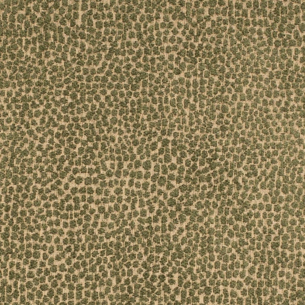F300-265 by Charlotte Fabric Cypress 100% Polypropylene USA </p><p>Repeat: No Repeat 54 Inches - Fabric Carolina -
