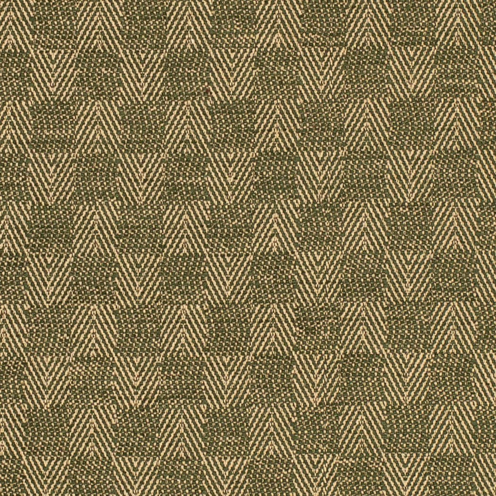F300-286 by Charlotte Fabric Cypress 52% Cotton, 48% Polyester USA </p><p>Repeat: Horizontal 2" x Vertical 2" 54 Inches - Fabric Carolina -