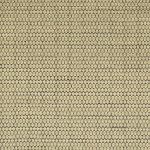 F3035 Carbon by Greenhouse Fabric