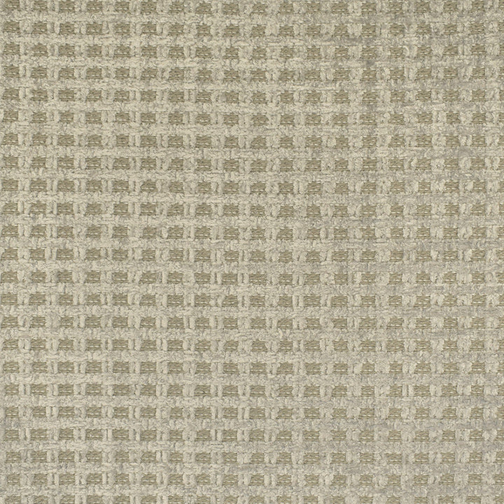F3041 Silver by Greenhouse Designer Fabric 100% Polyester China 50,000 double rubs </p><p>Repeat: None 56" - Swanky Fabrics -