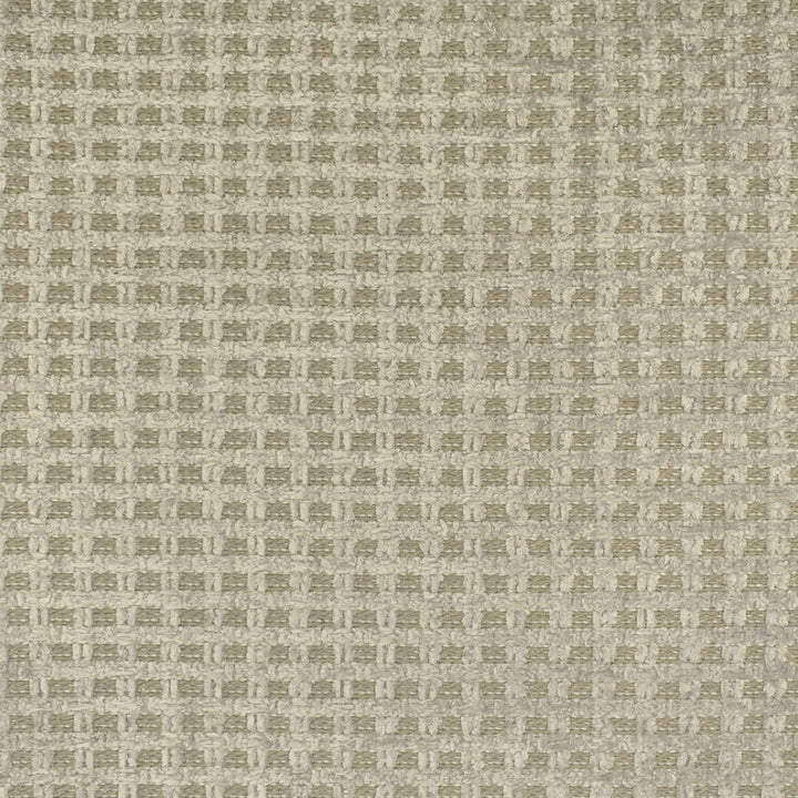 F3041 Silver by Greenhouse Fabric 100% Polyester China 50,000 double rubs </p><p>Repeat: None 56" - Fabric Carolina -