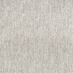 F3042 Canvas by Greenhouse Fabric