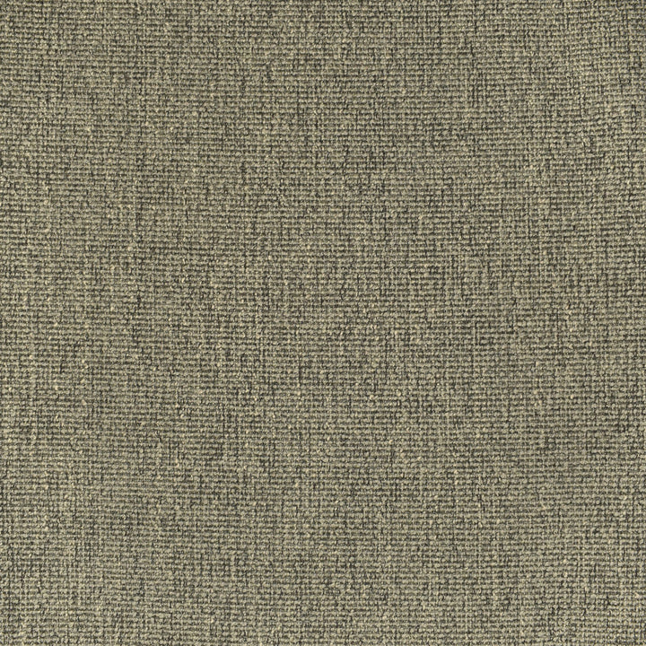 F3049 Fossil by Greenhouse Designer Fabric 100% Polyester China 35,000 double rubs </p><p>Repeat: None 56" - Swanky Fabrics -
