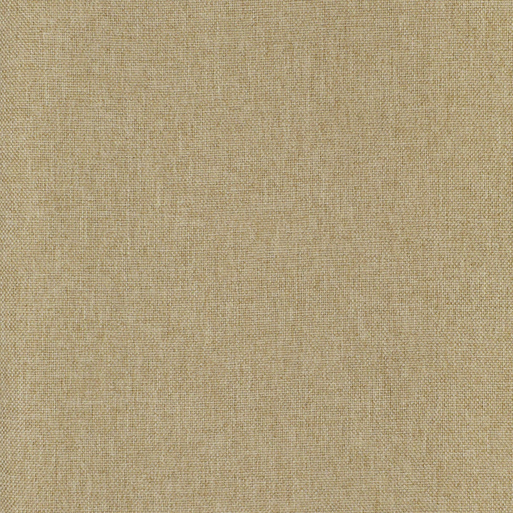 F3073 Dune by Greenhouse Designer Fabric 100% Polyester China 100,000 double rubs </p><p>Repeat: None 57" - Swanky Fabrics -
