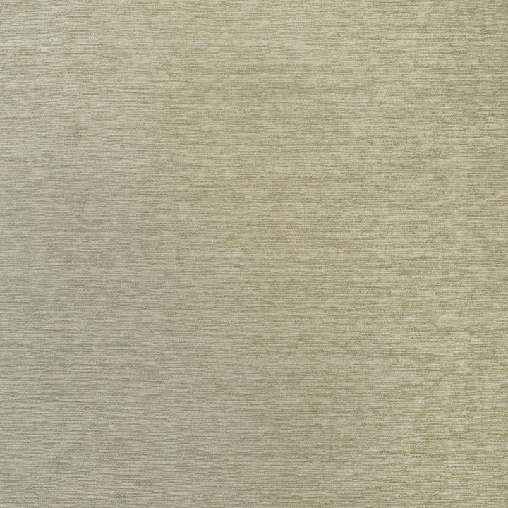 F3096 Platinum by Greenhouse Designer Fabric 100% Polyester China 50,000 double rubs </p><p>Repeat: None 55" - Swanky Fabrics -