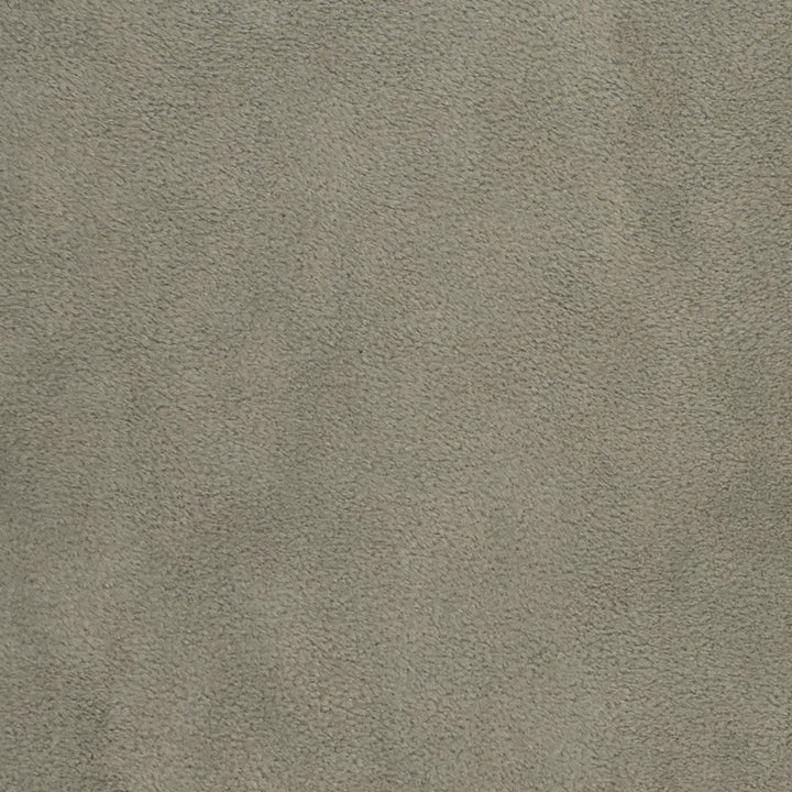 F3197 Ash by Greenhouse Designer Fabric 100% Polyester, Back: 100% Acrylic China 50,000 </p><p>Repeat: None 55" - Swanky Fabrics -