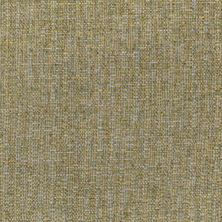 F3283 Mushroom by Greenhouse Designer Fabric E89: upholstery by COLOR 100% Polyester China 27,000 double rubs </p><p>Repeat: None 56" - Swanky Fabrics -