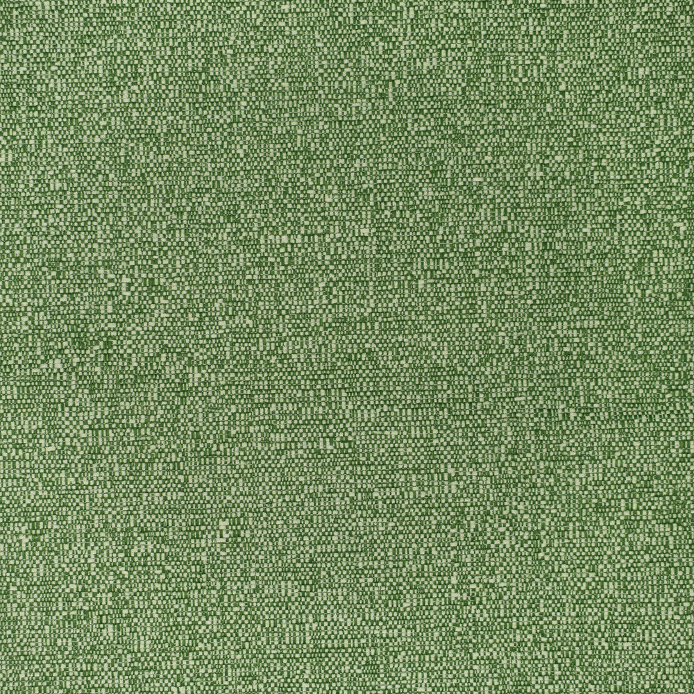 F3404 Grass by Greenhouse Fabric 100% Polyester China 60,000 double rubs </p><p>Repeat: None 54" - Fabric Carolina -