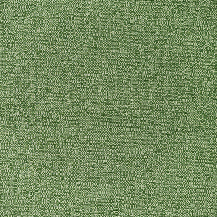 F3404 Grass by Greenhouse Designer Fabric E91: Value Color 100% Polyester China 60,000 double rubs </p><p>Repeat: None 54" - Swanky Fabrics -