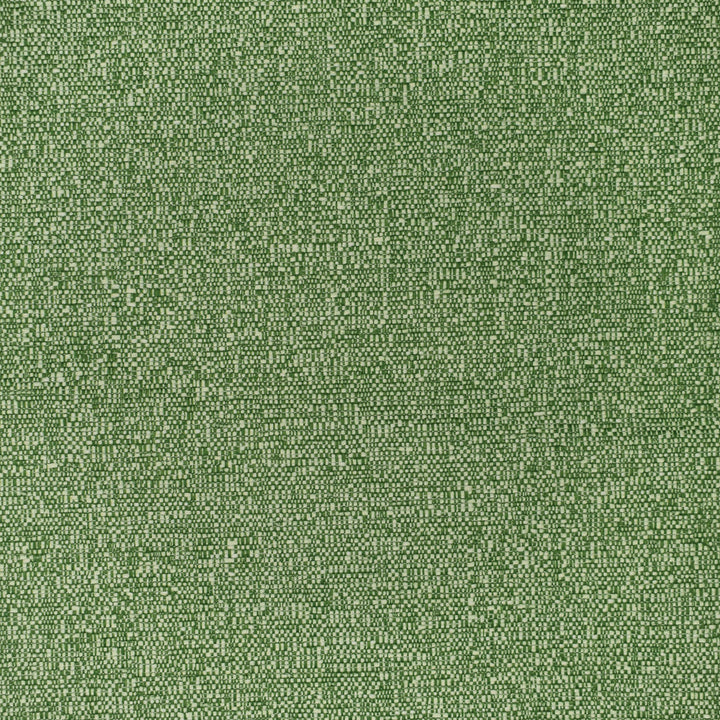 F3404 Grass by Greenhouse Fabric 100% Polyester China 60,000 </p><p>Repeat: None 54" - Fabric Carolina -