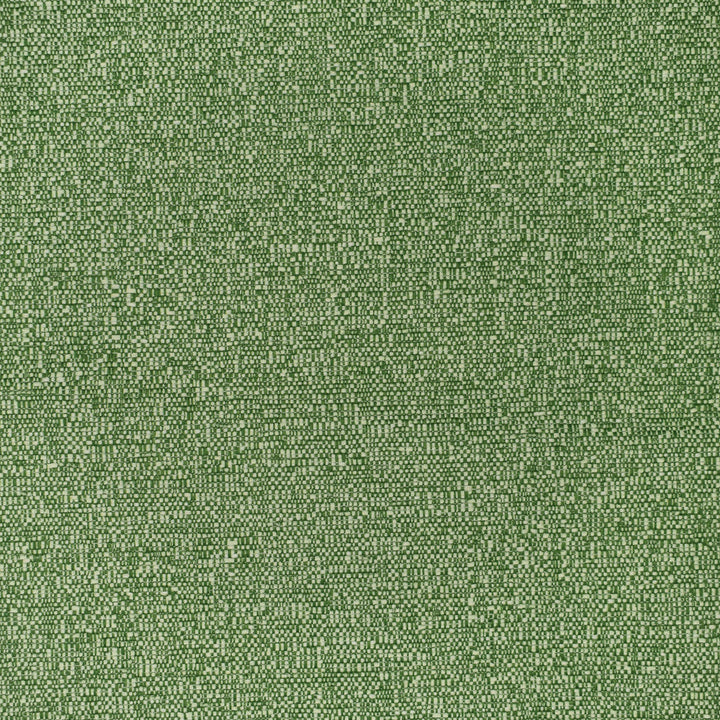 F3404 Grass by Greenhouse Designer Fabric 100% Polyester China 60,000 </p><p>Repeat: None 54" - Swanky Fabrics -