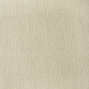 F3504 Canvas by Greenhouse Fabric