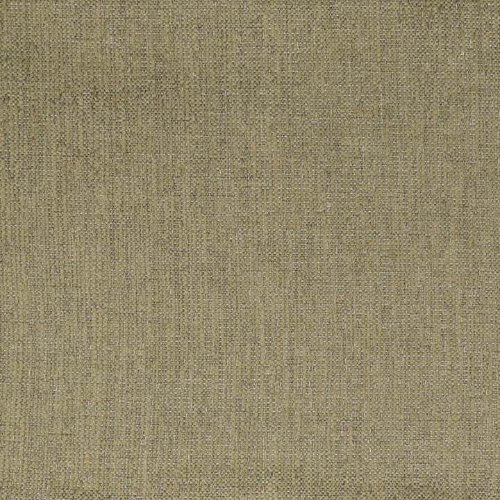 F3541 Stone by Greenhouse Designer Fabric 68.28% Olefin, 31.72% Polyester (Uv) USA 33,000 </p><p>Repeat: 6.906" H, 10.188" V 56" - Swanky Fabrics -