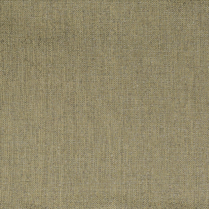 F3541 Stone by Greenhouse Designer Fabric E93: Performance Neutral 68.28% Olefin, 31.72% Polyester (Uv) USA 33,000 double rubs </p><p>Repeat: 6.906" H, 10.188" V 56" - Swanky Fabrics -