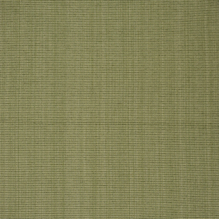 F3752 Sage by Greenhouse Designer Fabric E98: textures by COLOR 51% Cotton, 30% Polyester, 19% Rayon China 60,000 double rubs </p><p>Repeat: None 60" - Swanky Fabrics -