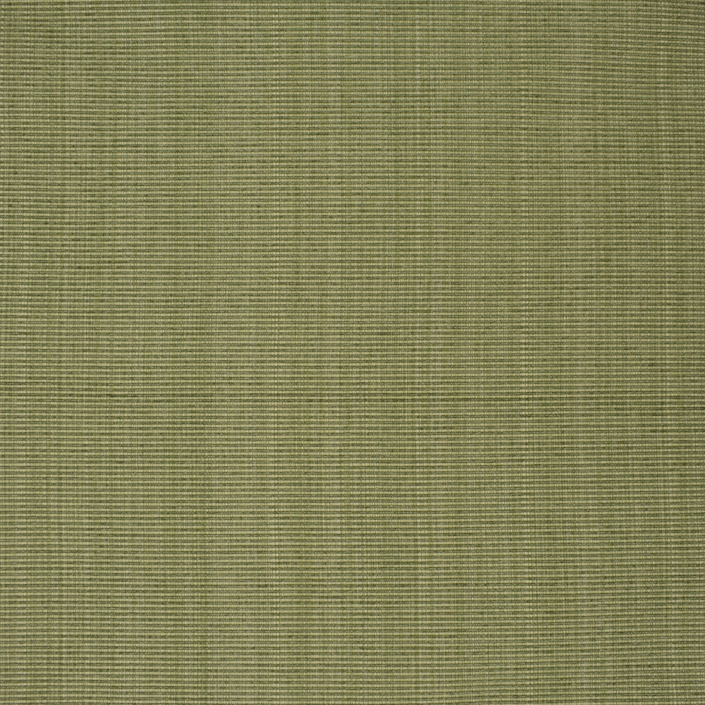F3752 Sage by Greenhouse Fabric 51% Cotton, 30% Polyester, 19% Rayon China 60,000 double rubs </p><p>Repeat: None 60" - Fabric Carolina -