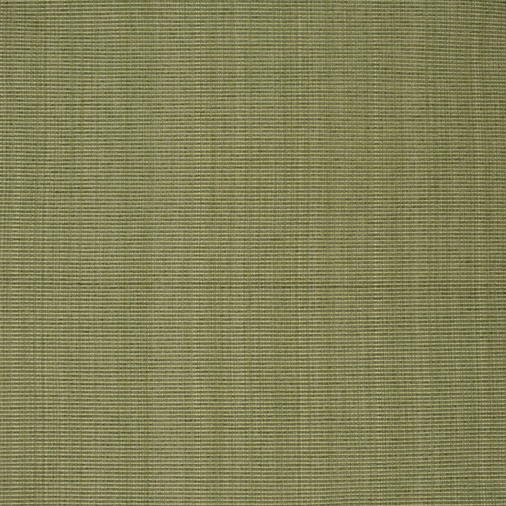 F3752 Sage by Greenhouse Fabric 51% Cotton, 30% Polyester, 19% Rayon China 60,000 double rubs </p><p>Repeat: None 60" - Fabric Carolina -