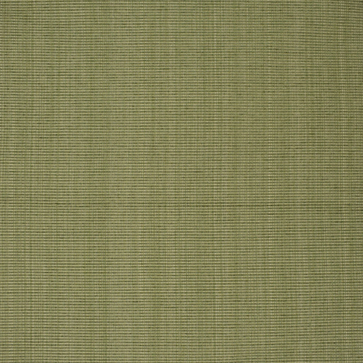 F3752 Sage by Greenhouse Designer Fabric 51% Cotton, 30% Polyester, 19% Rayon China 60,000 </p><p>Repeat: None 60" - Swanky Fabrics -