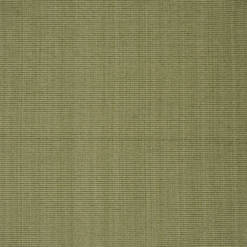 F3752 Sage by Greenhouse Fabric 51% Cotton, 30% Polyester, 19% Rayon China 60,000 </p><p>Repeat: None 60" - Fabric Carolina -