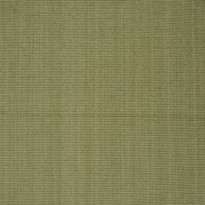F3752 Sage by Greenhouse Fabric 51% Cotton, 30% Polyester, 19% Rayon China 60,000 </p><p>Repeat: None 60" - Fabric Carolina -