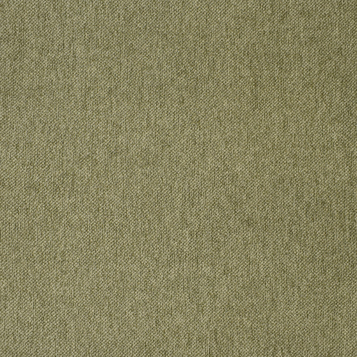 F3754 Fern by Greenhouse Fabric E98: textures by COLOR 100% Polyester China 55,000 double rubs </p><p>Repeat: None 56" - Fabric Carolina -