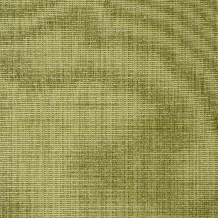F3755 Lime by Greenhouse Fabric 51% Cotton, 30% Polyester, 19% Rayon China 60,000 double rubs </p><p>Repeat: None 60" - Fabric Carolina -