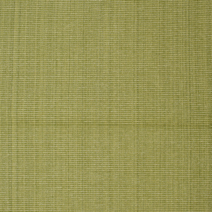 F3755 Lime by Greenhouse Fabric 51% Cotton, 30% Polyester, 19% Rayon China 60,000 </p><p>Repeat: None 60" - Fabric Carolina -