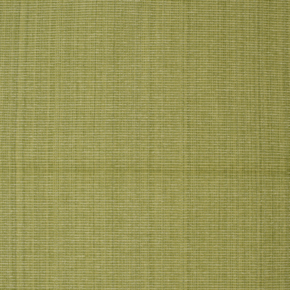 F3755 Lime by Greenhouse Fabric E98: textures by COLOR 51% Cotton, 30% Polyester, 19% Rayon China 60,000 double rubs </p><p>Repeat: None 60" - Fabric Carolina -