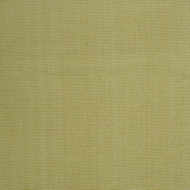F3756 Spring by Greenhouse Designer Fabric E98: textures by COLOR 51% Cotton, 30% Polyester, 19% Rayon China 60,000 double rubs </p><p>Repeat: None 60" - Swanky Fabrics -