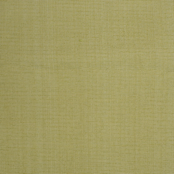 F3756 Spring by Greenhouse Fabric 51% Cotton, 30% Polyester, 19% Rayon China 60,000 </p><p>Repeat: None 60" - Fabric Carolina -