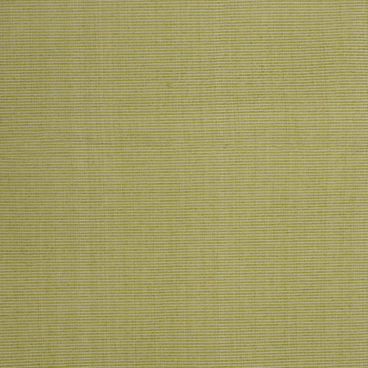 F3756 Spring by Greenhouse Fabric 51% Cotton, 30% Polyester, 19% Rayon China 60,000 double rubs </p><p>Repeat: None 60" - Fabric Carolina -