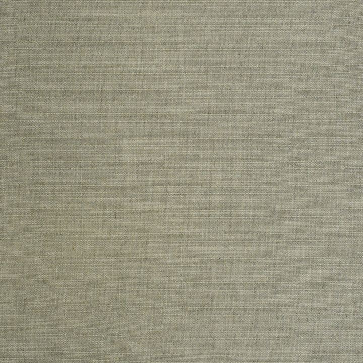 F3758 Sage by Greenhouse Designer Fabric E98: textures by COLOR 95% Polyester, 5% Linen China 53,000 double rubs </p><p>Repeat: None 58" - Swanky Fabrics -
