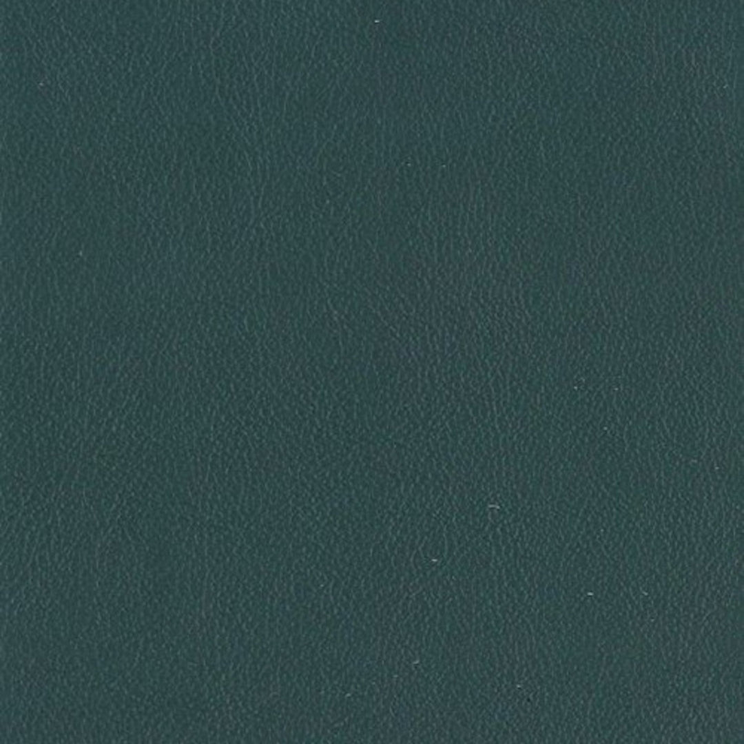 F3829 Hunter by Greenhouse Designer Fabric