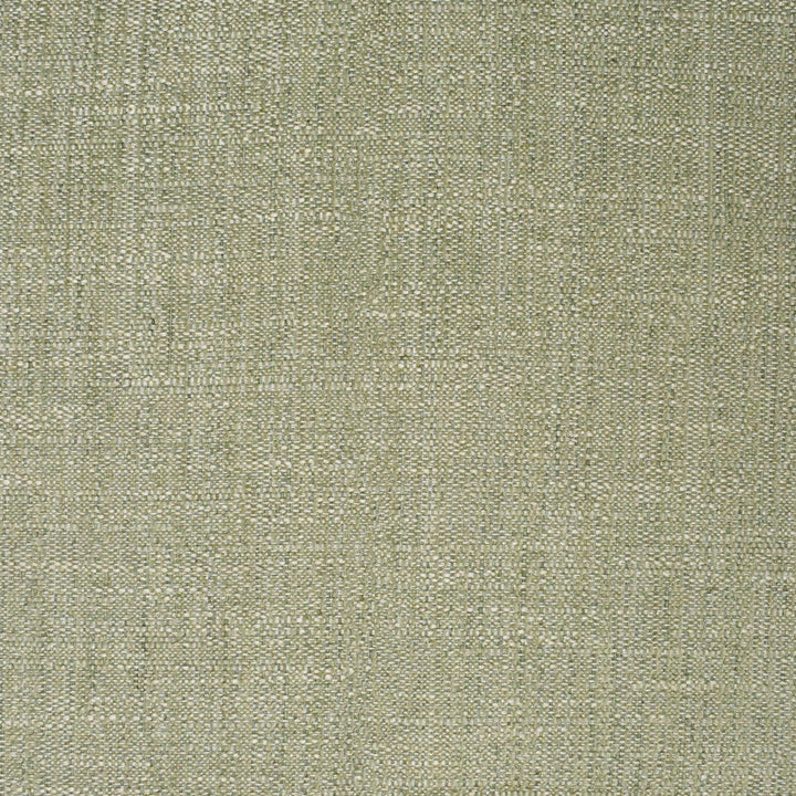 F3864 Grass by Greenhouse Designer Fabric 51% Viscose, 25% Polyester, 20% Linen, 4% Cotton USA 63,000 </p><p>Repeat: None 54" - Swanky Fabrics -