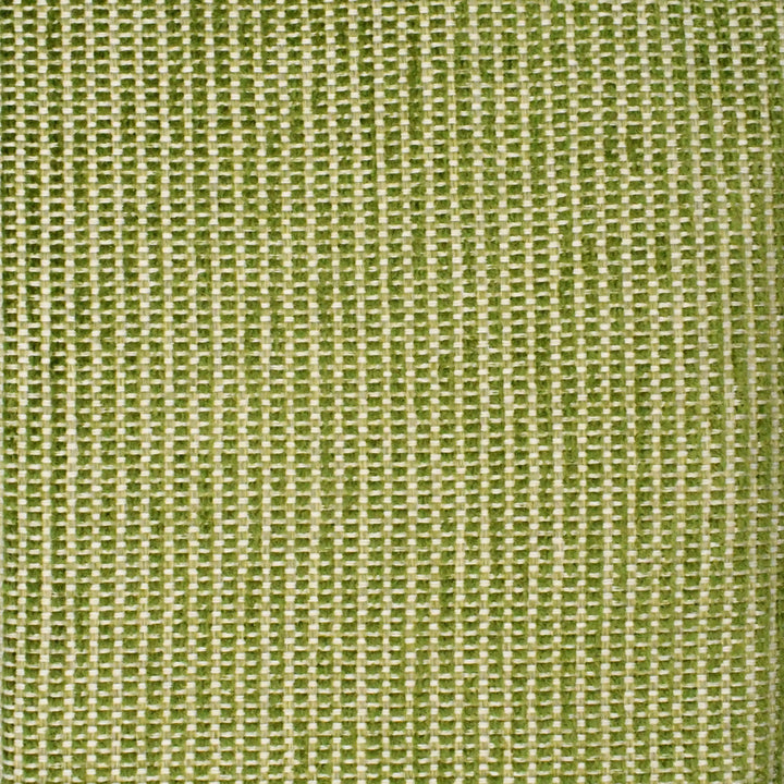 F3870 Cactus by Greenhouse Fabric 49% Polypropylene, 30% Acrylic, 21% Polyester USA 27,000 </p><p>Repeat: None 54" - Fabric Carolina -