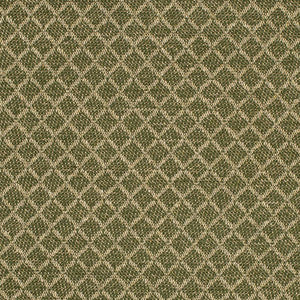 F400-181 by Charlotte Fabric