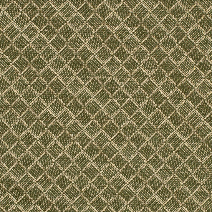 F400-181 by Charlotte Fabric Cypress 52% Recycled Polyester, 26% Polyester, 22% Recycled Cotton USA </p><p>Repeat: Horizontal 1" x Vertical 1" 54 Inches - Fabric Carolina -