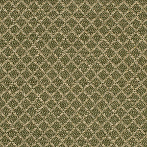 F400-181 by Charlotte Fabric