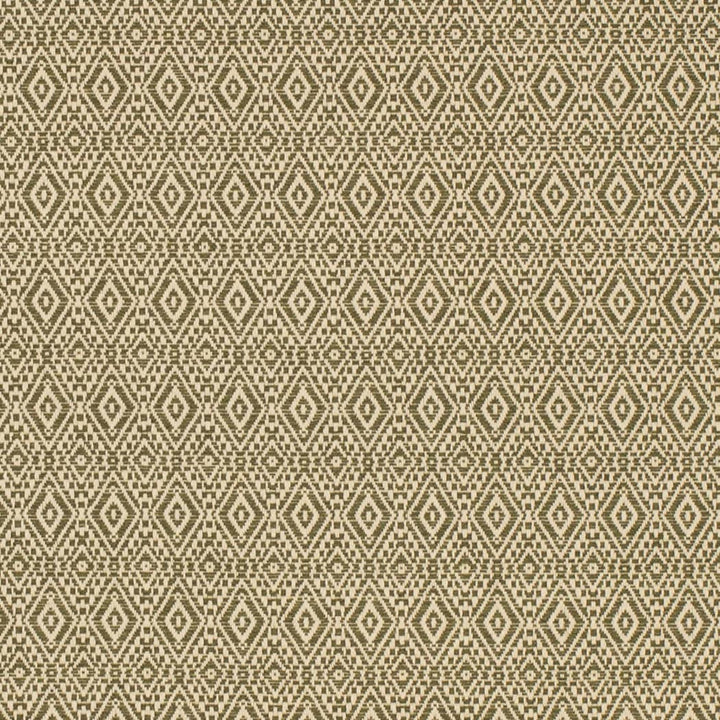 F400-182 by Charlotte Fabric Cypress 70% Cotton, 30% Polyester USA </p><p>Repeat: Horizontal 1" x Vertical 1" 54 Inches - Fabric Carolina -