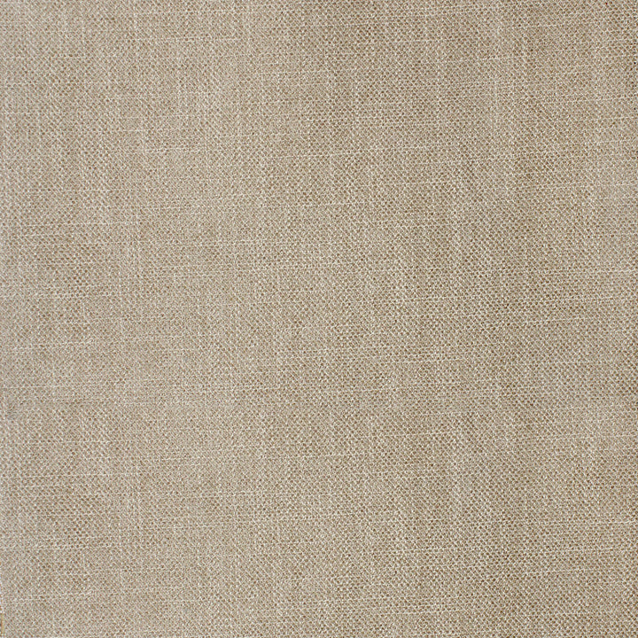 F4047 Desert by Greenhouse Fabric F04: Performance Neutral 100% Polyester China 50,000 double rubs Performance </p><p>Repeat: None 56" - Fabric Carolina -